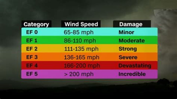 Will deer move in 20 mph winds?
