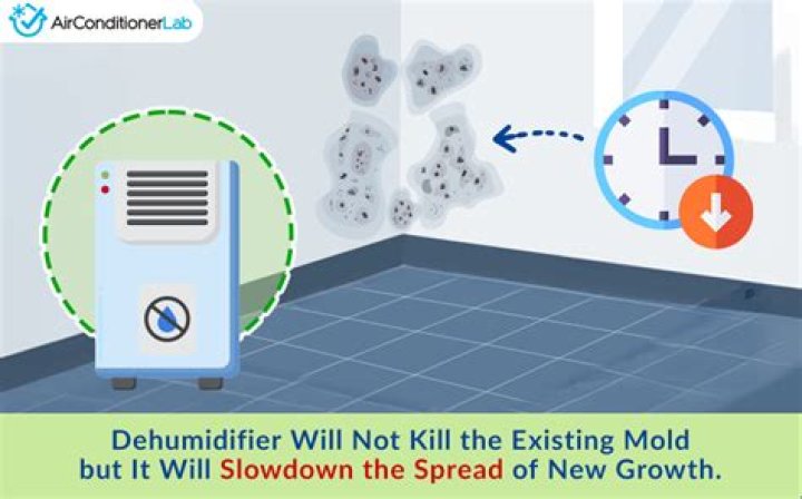 Will dehumidifiers kill mold?