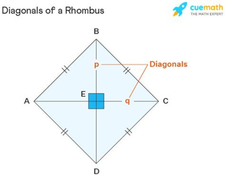 Will diagonals bisect rhombus?