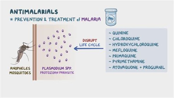 Will doxycycline treat malaria?