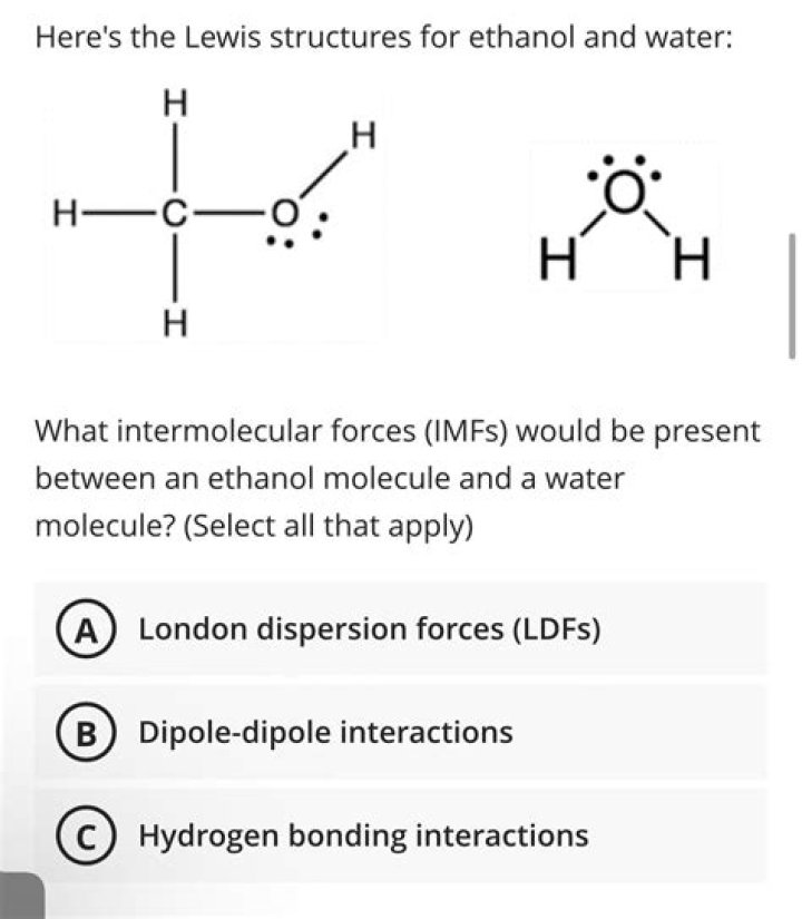 Will ethanol interact with water molecules?