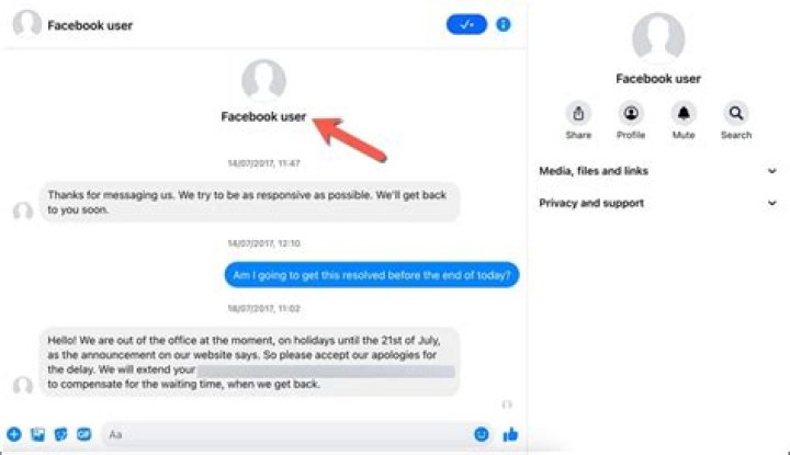 Will facebook messenger show me online?