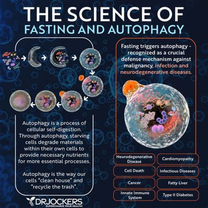 Will fasting put you in ketosis?