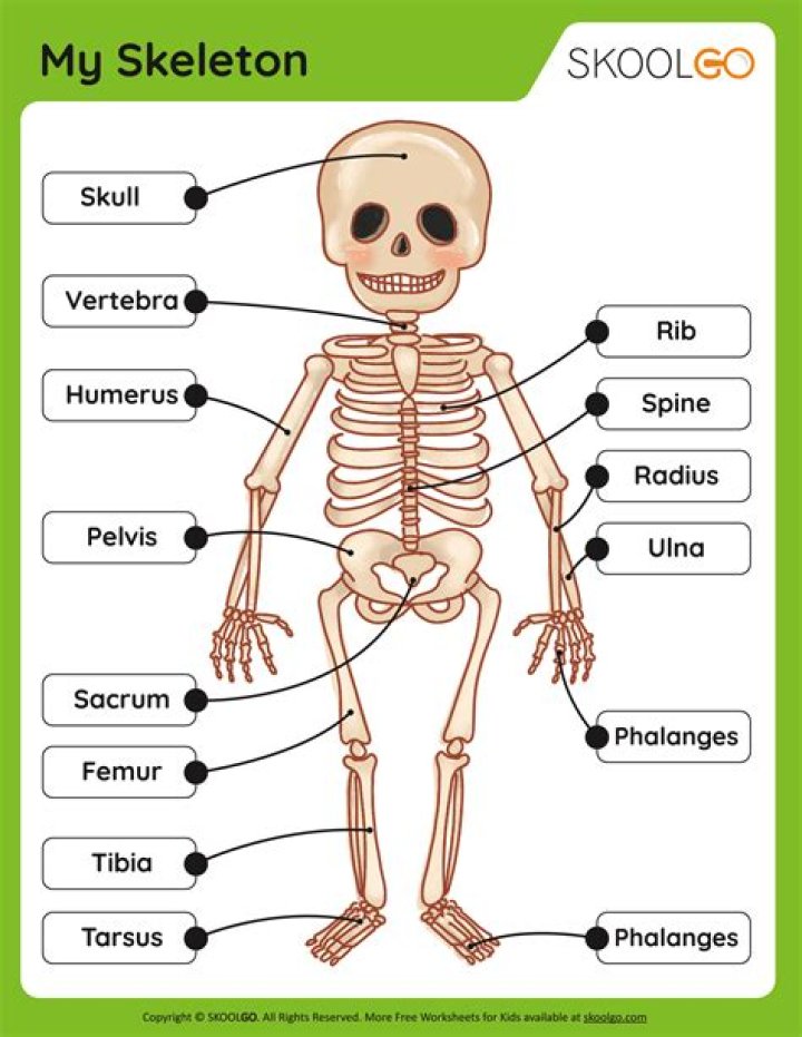 Will fillets have bones?