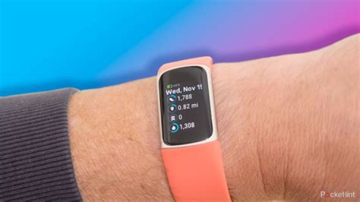 Will fitbit stock convert to google?