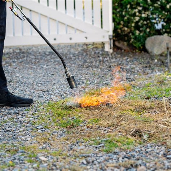 Will flame weeding kill grass?