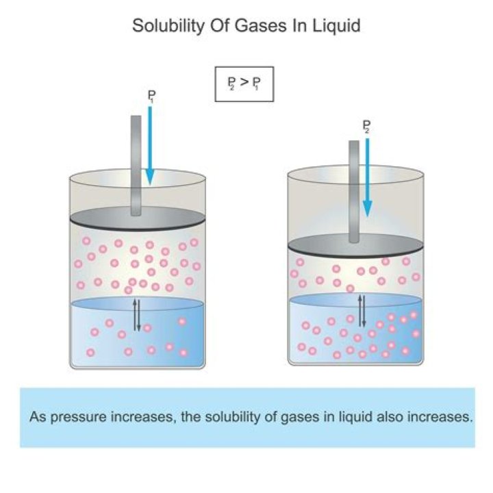 Will gas dissolve in water?