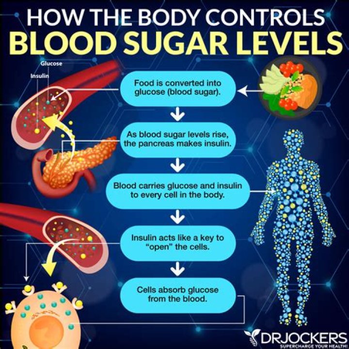 Will ginger root raise blood sugar?