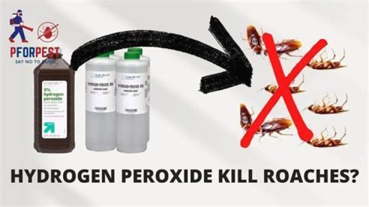 Will hydrogen peroxide kill mealybugs?
