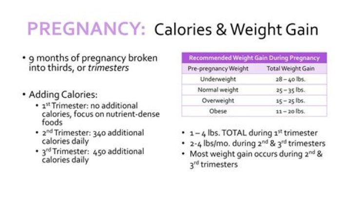 Will i gain more weight in third trimester?
