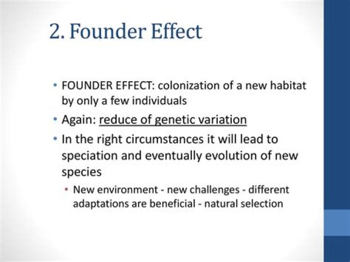 Will lead to speciation?