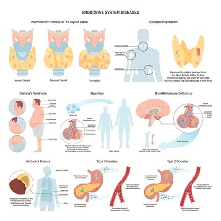 Will mrna help with other diseases?