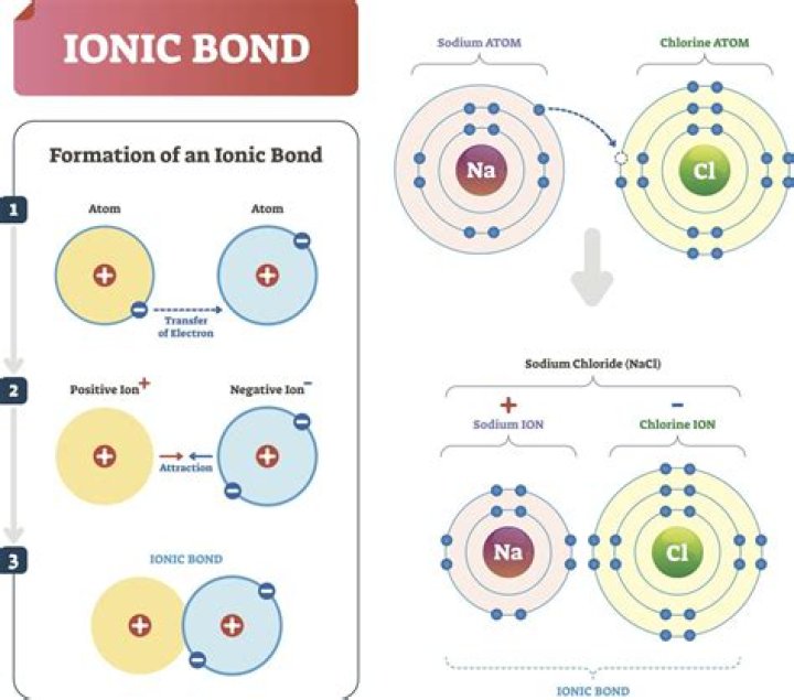 Will n and o form an ionic bond?