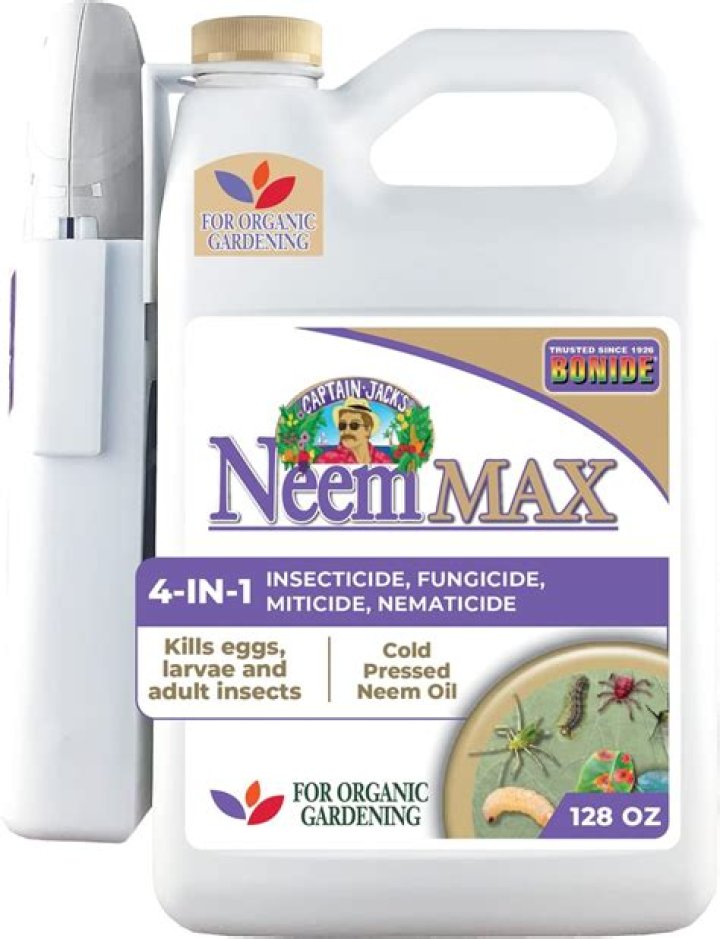 Will neem oil kill mealy bugs?