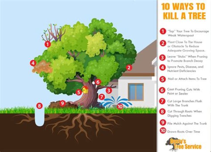 Will noxall kill trees?