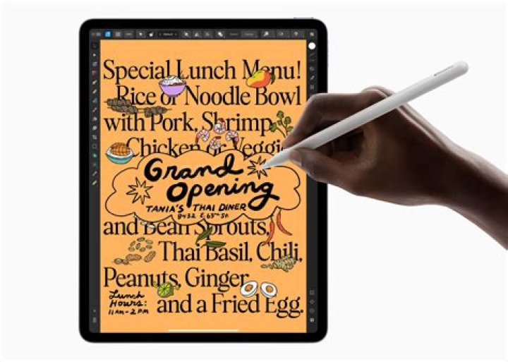 Will other pencils work with ipad?