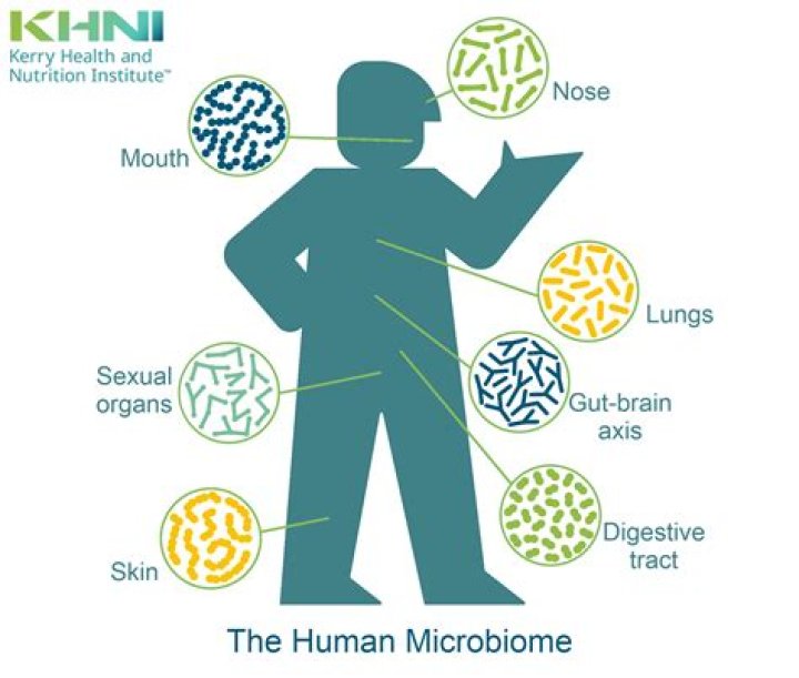 Will ph down kill microbes?