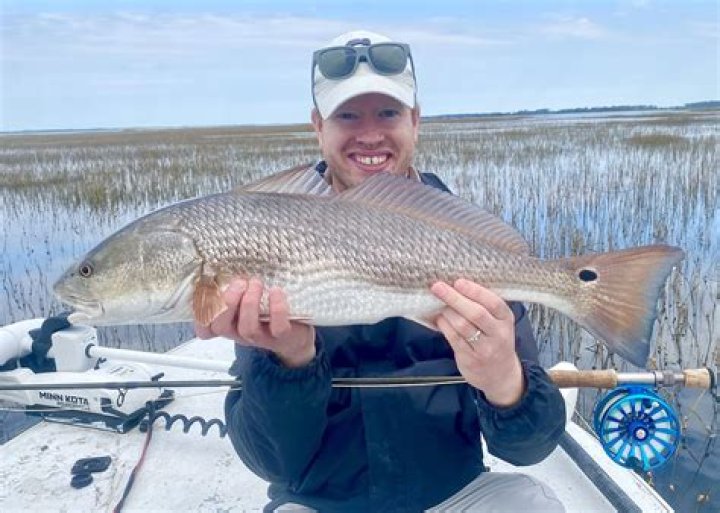 Will redfish eat cut bait?