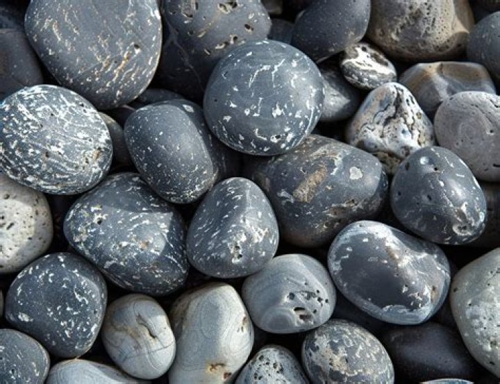 Will river rock kill plants?