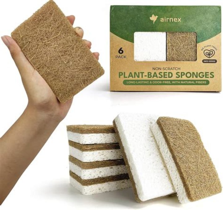 Will sponges absorb oil?