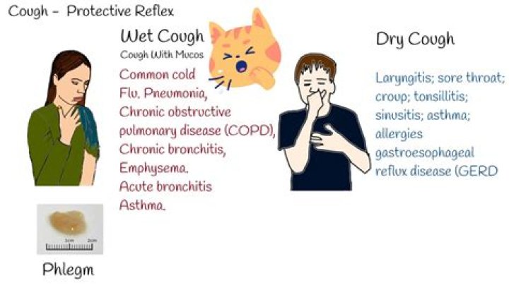 Will steam help a chesty cough?