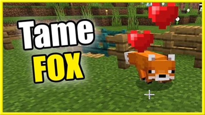 Will tamed foxes follow you minecraft?