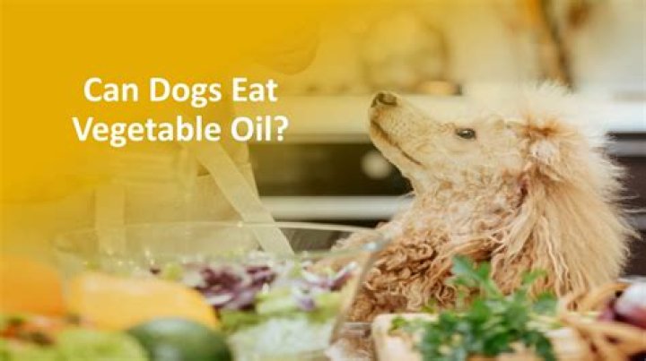 Will vegetable oil hurt my dog?