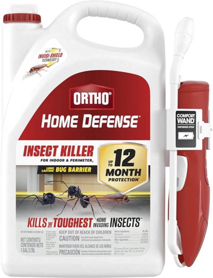 Would a bug bomb kill ants?
