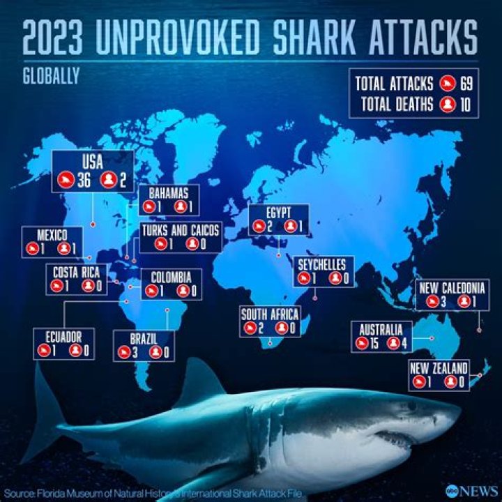 Would a shark attack a boat?