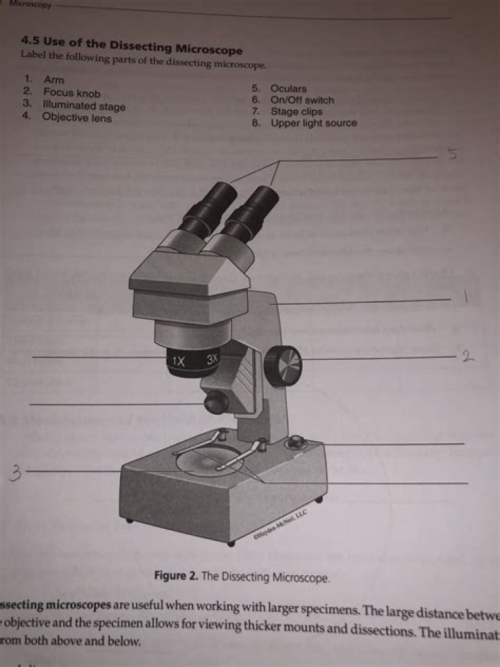 Would you use a dissecting microscope?